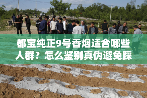 都宝纯正9号香烟适合哪些人群？怎么鉴别真伪避免踩坑？